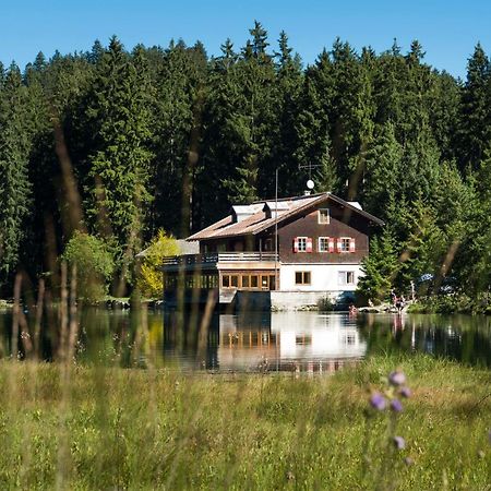 Apartamento Haus Schreieck Klaudia Höfen Exterior foto